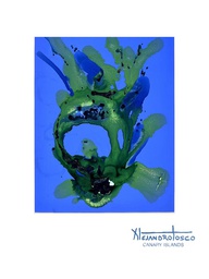 [AT-O-XXX144] Litografia reproducción 14obra artistica